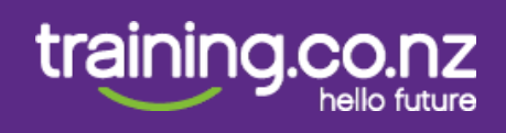 Training.co.nz logo | The Career Academy NZ | The Career Academy NZ Training.co.nz logo